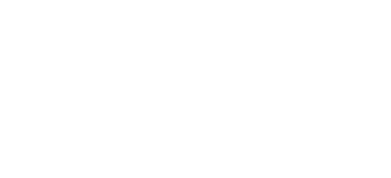 LEIVA