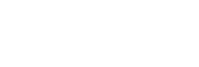 LEIVA