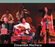 Ensamble Machaca