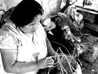 pritamo