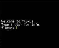 fluxus_inicio